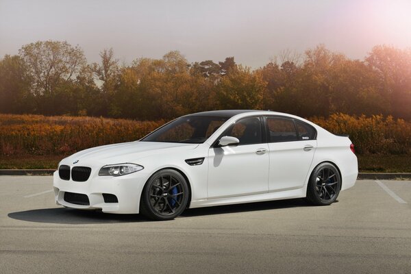 En la carretera hay un hermoso coche blanco