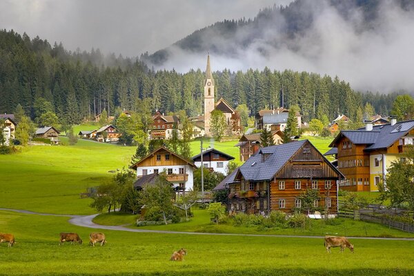 Ein Dorf in Österreich, wo Kühe grasen