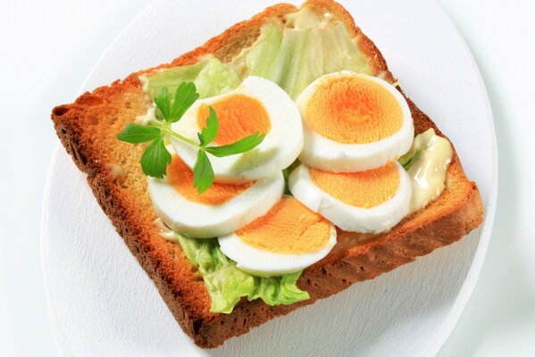 Toast with chopped egg and herbs