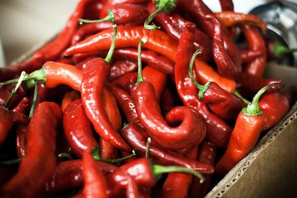 Chiles picantes rojos en Caja