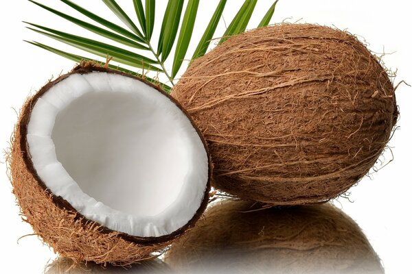 Half of the exotic coconut in the picture