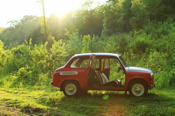 Macchina retrò Zaporozhets su sfondo verde foresta