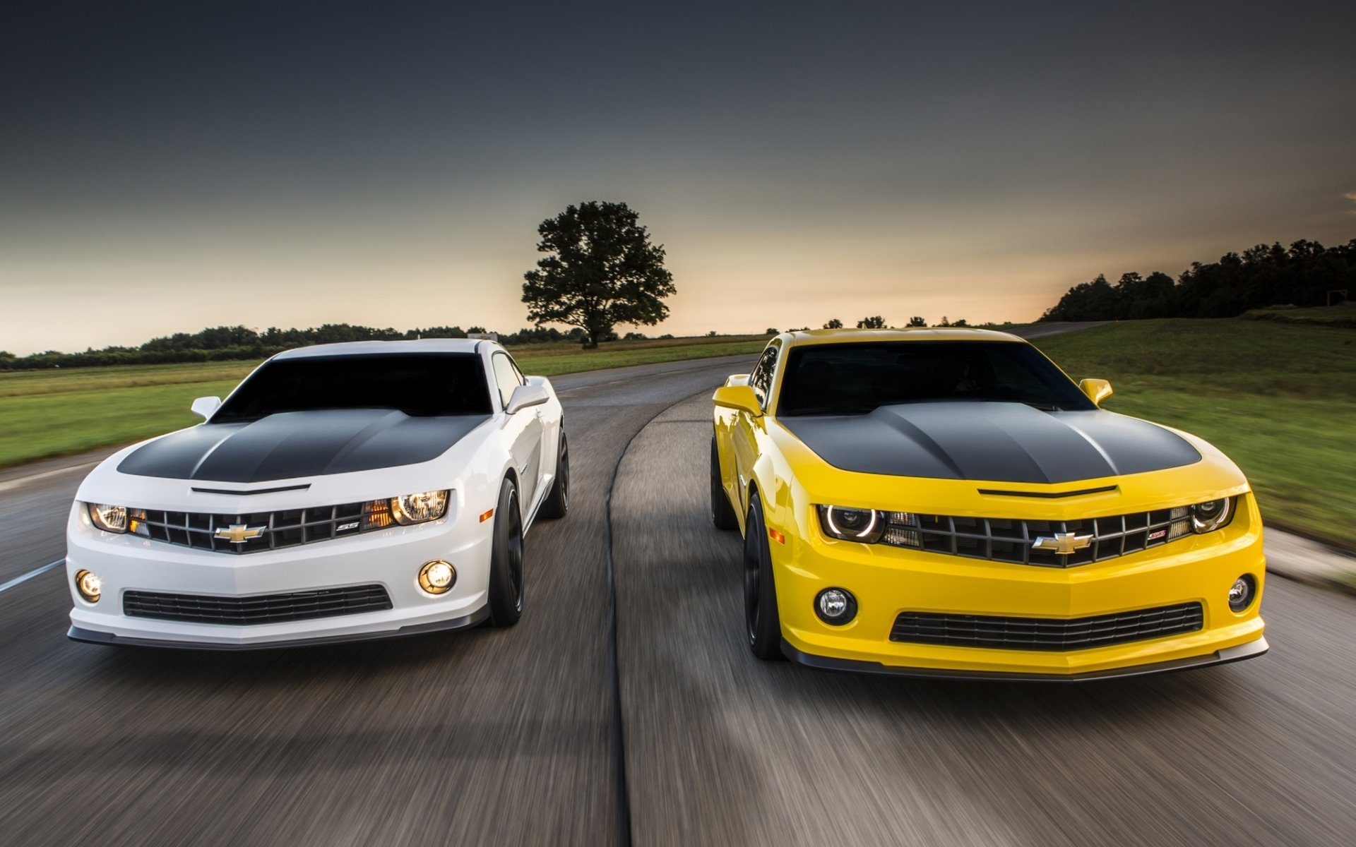 chevrolet camaro 1le chevrolet camaro yellow white front muscle car muscle car road sky