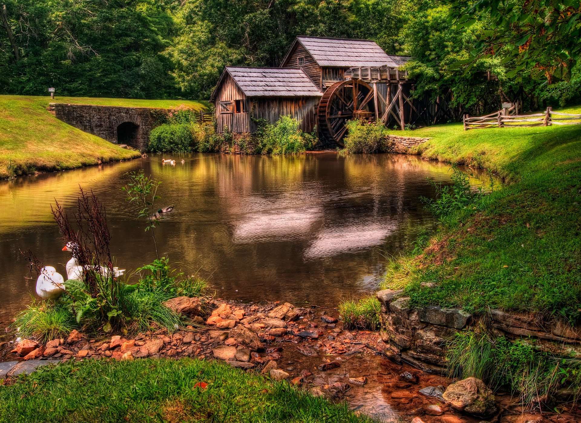 nature grass mill green forest river landscape