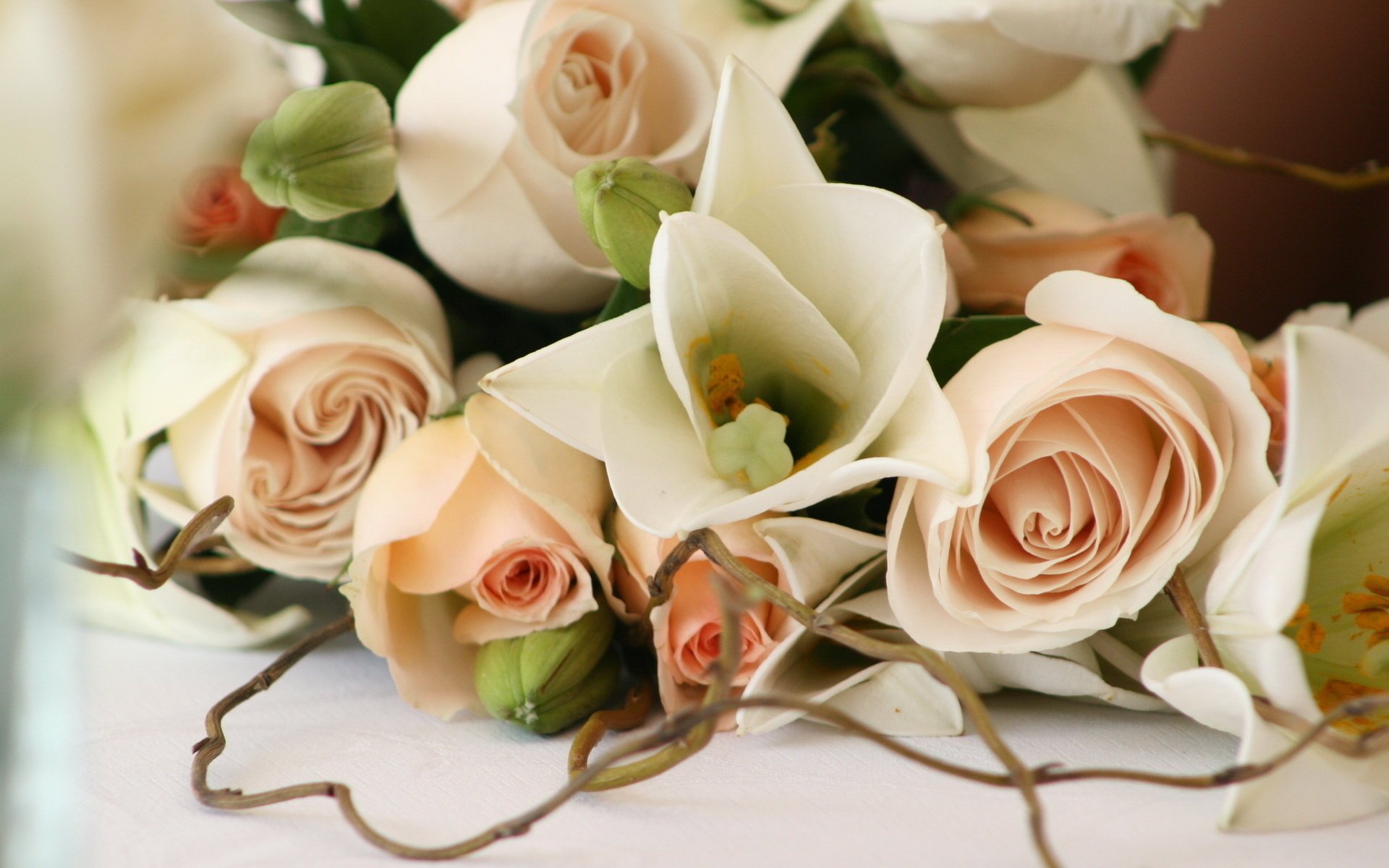 flores rosas boda hermoso romance