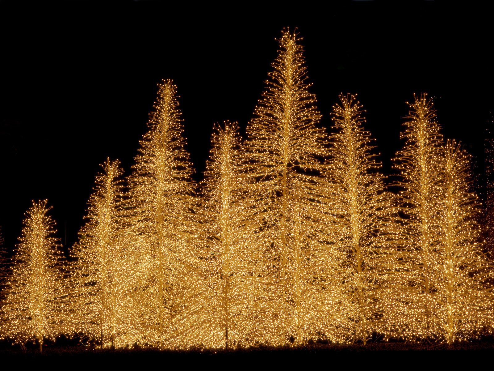 weihnachtsbaum lichter neujahr weihnachten