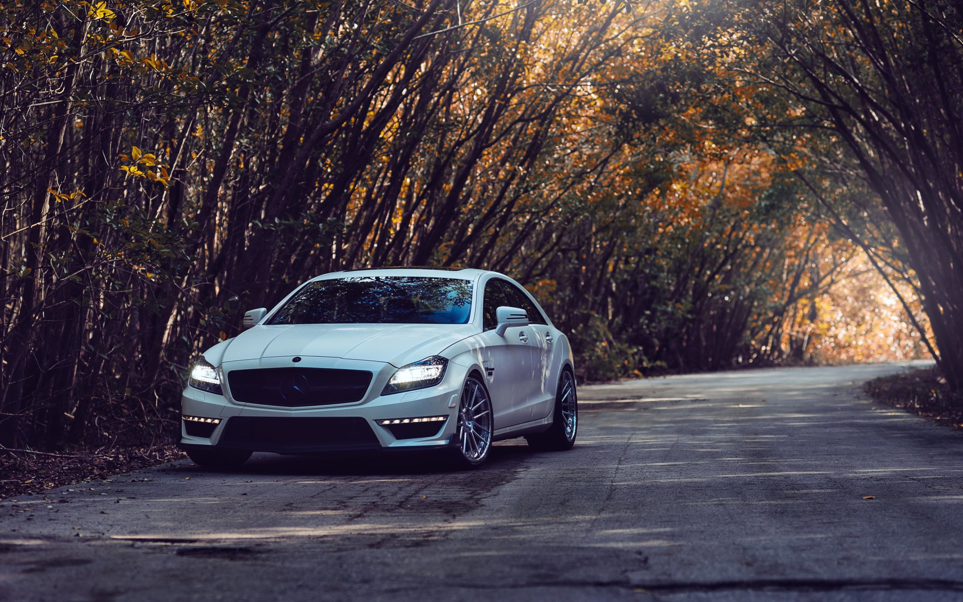 mercedes cls 63 amg mercedes tuning carretera árboles