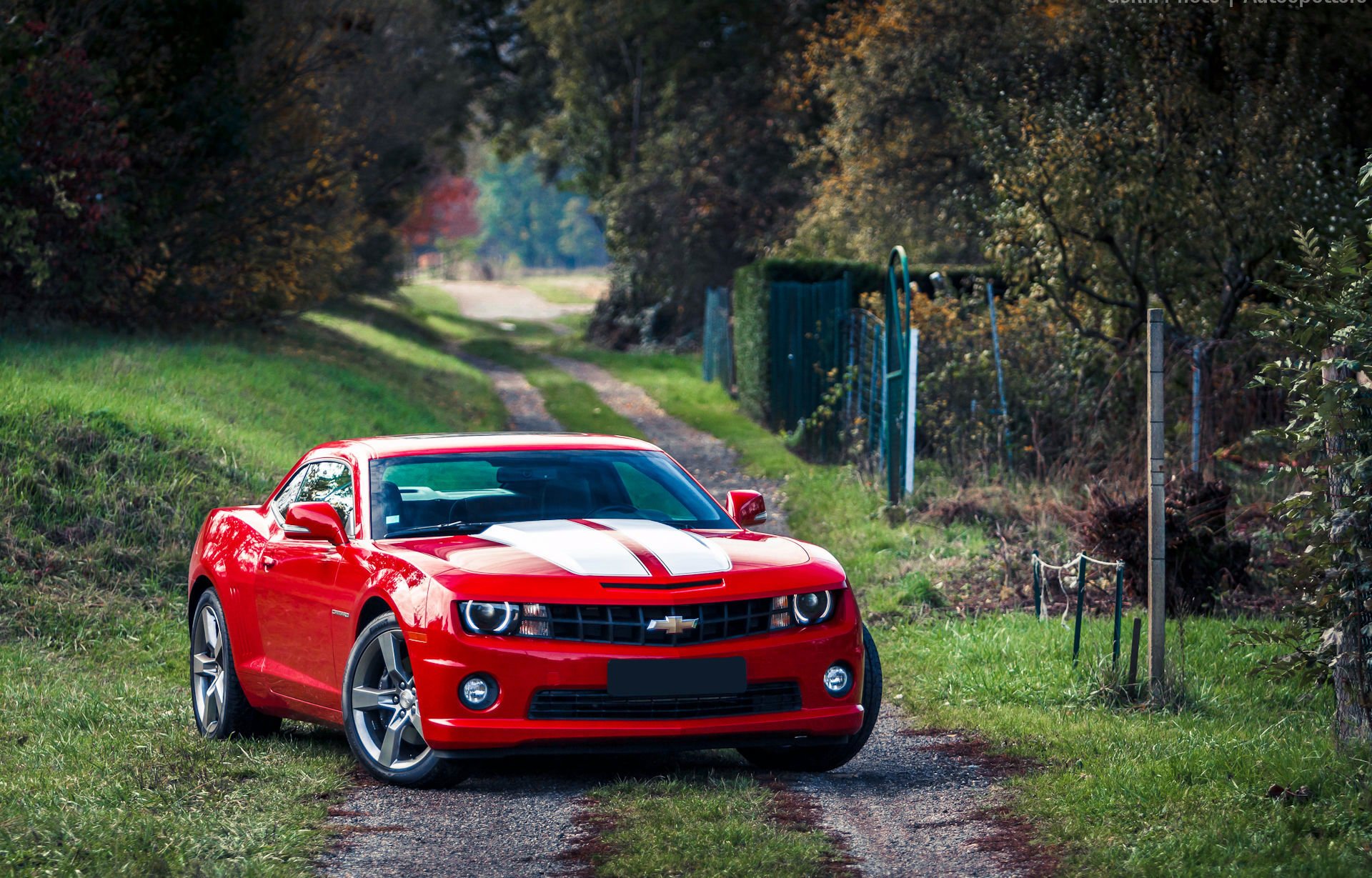 chevrolet camaro muscle car czerwony chevrolet camaro muscle car czerwony