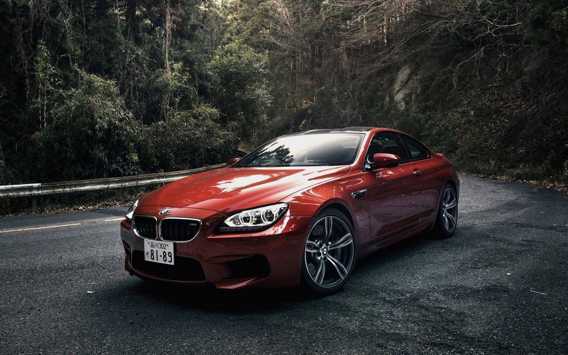 bmw m6 купе япония spec оранжевый бмв м6 оранжевая машина лес