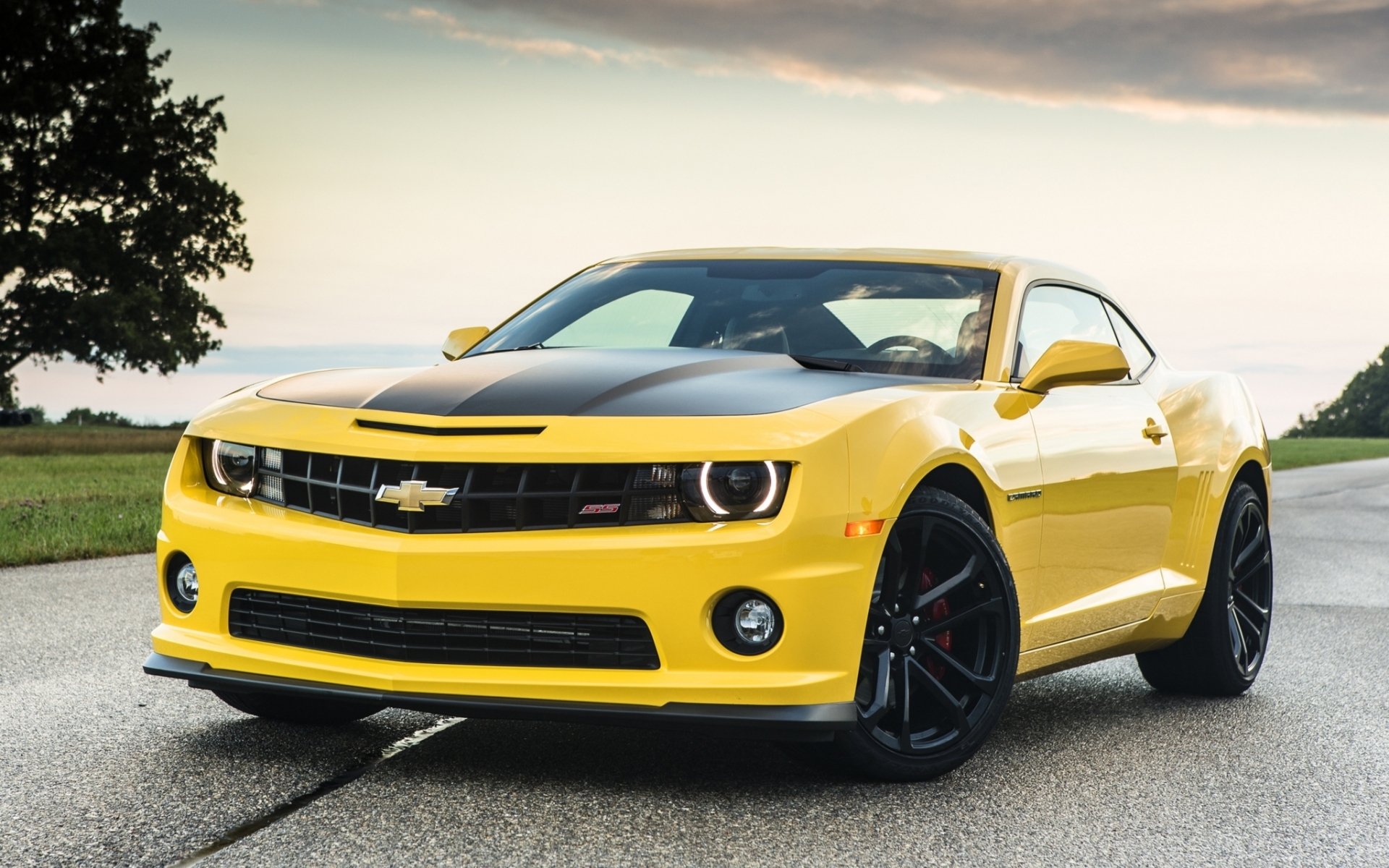 chevrolet camaro 1le chevrolet camaro amarillo frente coche del músculo coche del músculo carretera árbol cielo