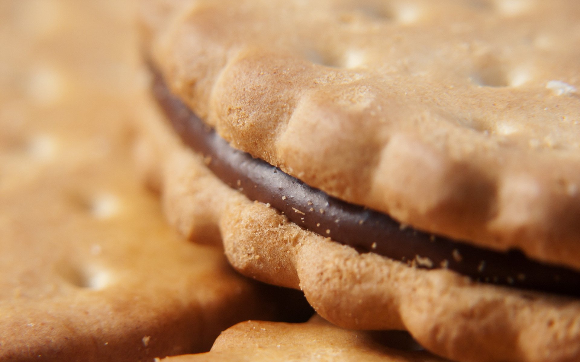 macro cream cookies food food sweet chocolate dessert