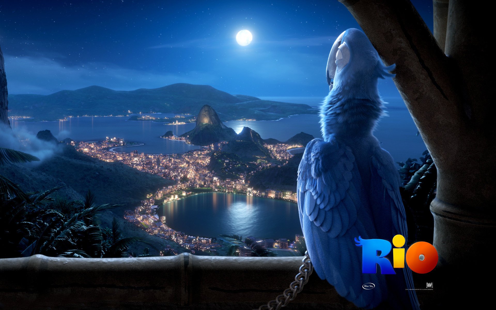 vue de rio de janeiro dessin animé oiseau rio