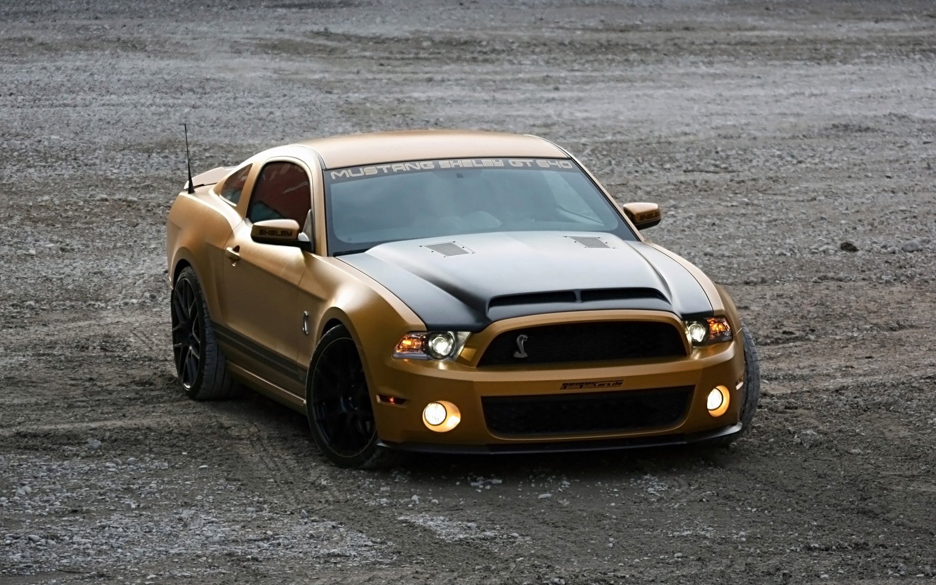 gt640 serpiente de oro cars auto shelby ford mustang