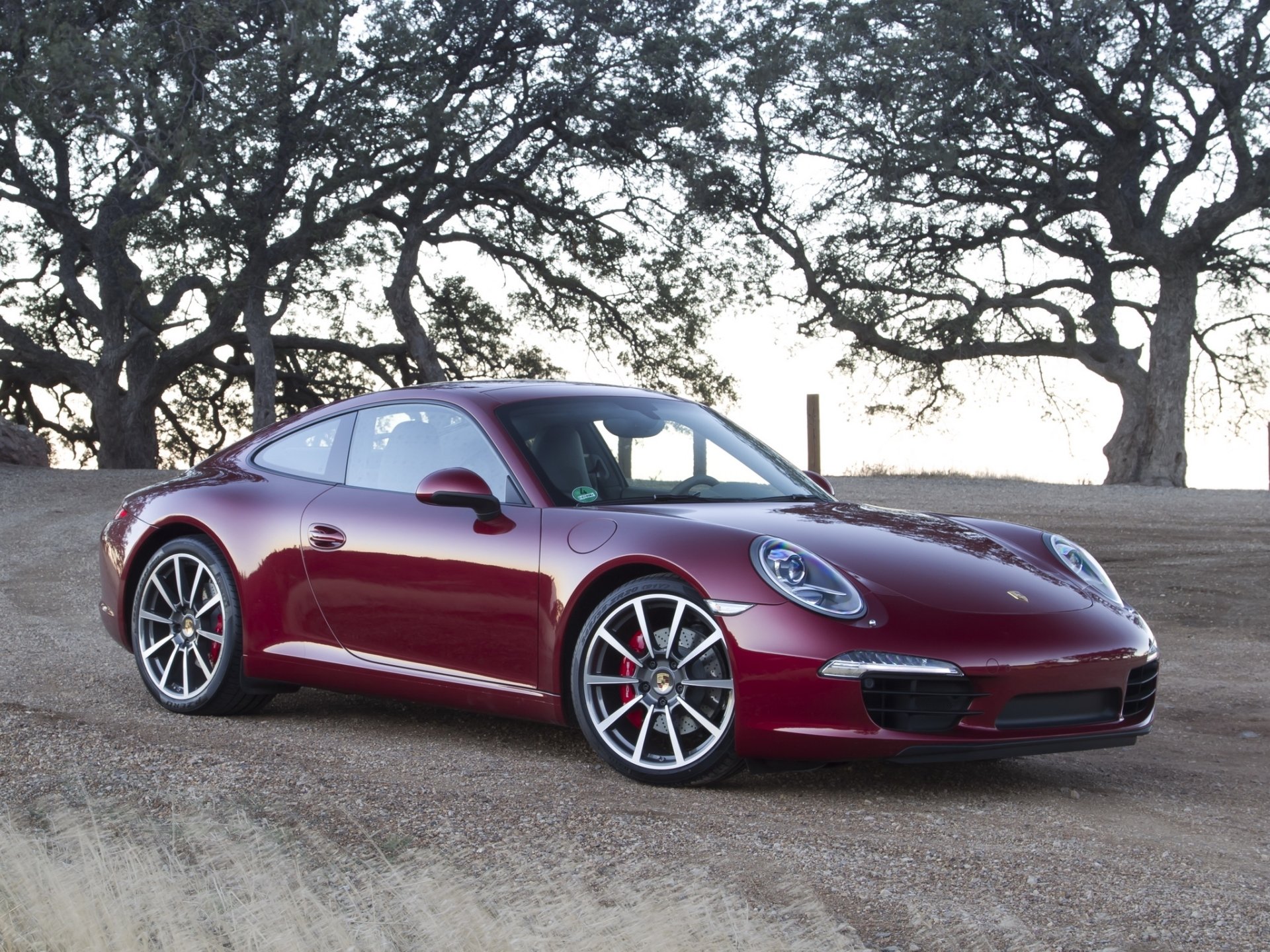 porsche 911 carrera s coupe porsche carrera s superdeportivo delantero borgoña espigas árboles cielo