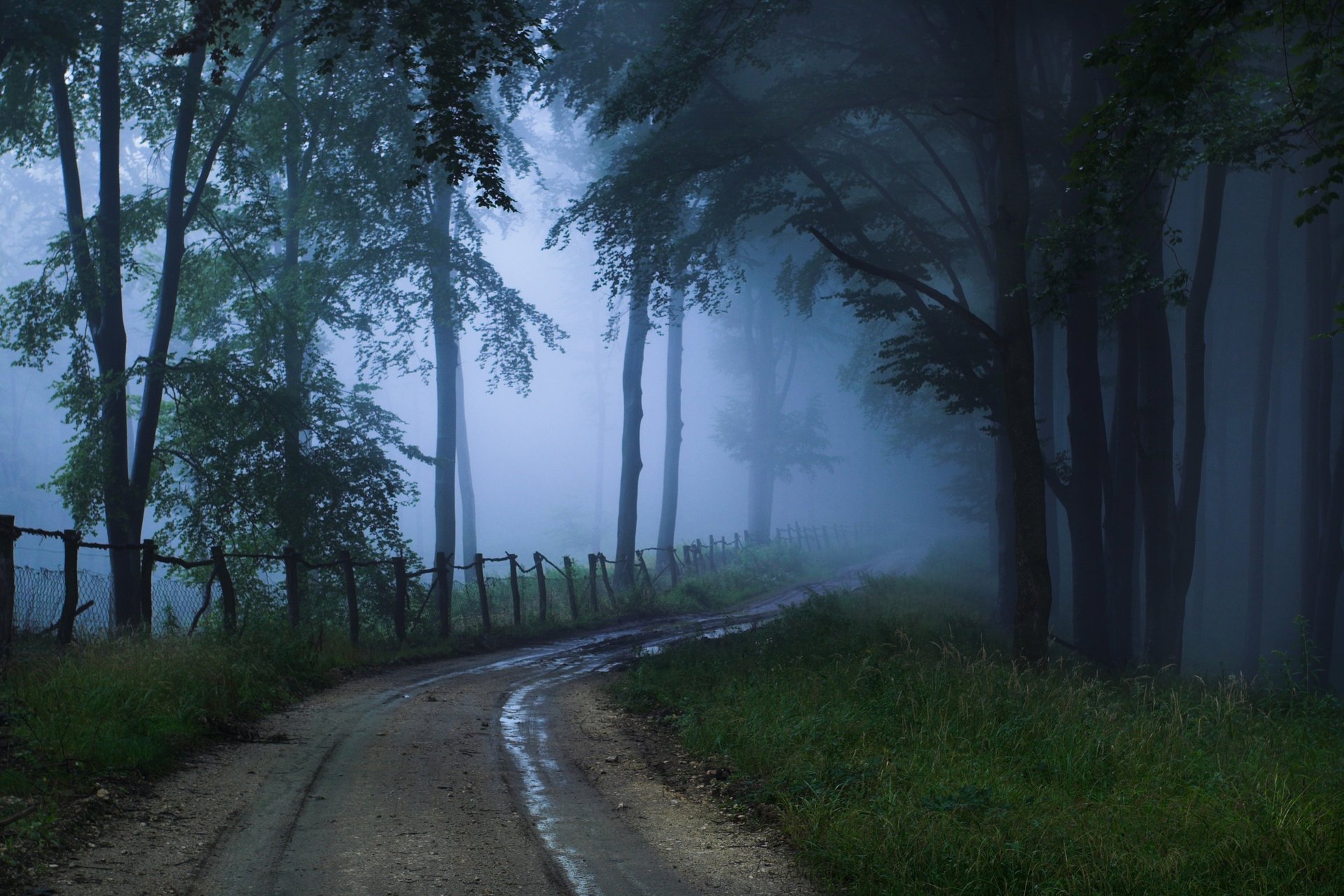 unbekannte straße nebel