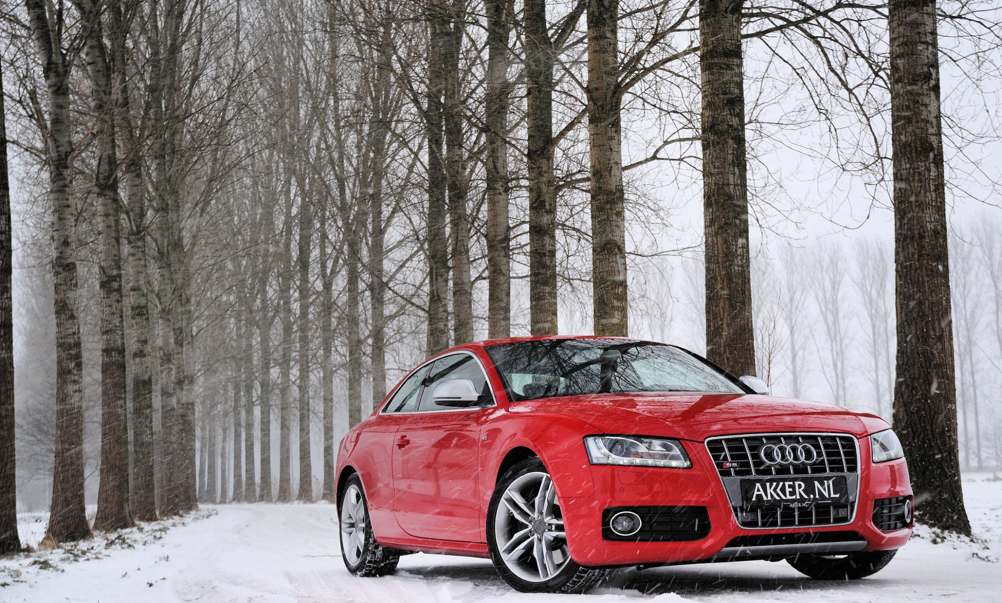 audi s5 red audi red winter snow forest tree