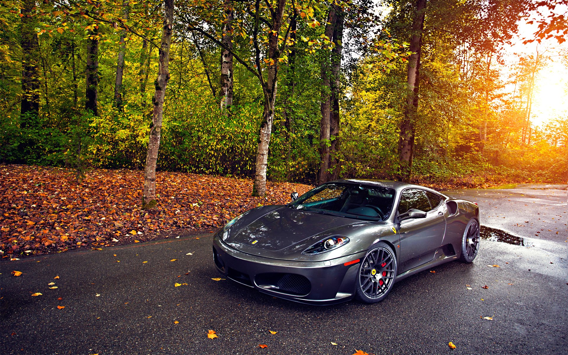 ferrari tuning silber räder herbst bäume blatt sonne grün asphalt