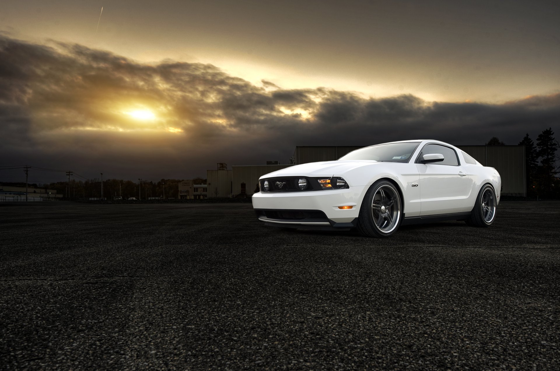 ford mustang 5.0 gt blanco coche del músculo delantero muscle car sol puesta de sol