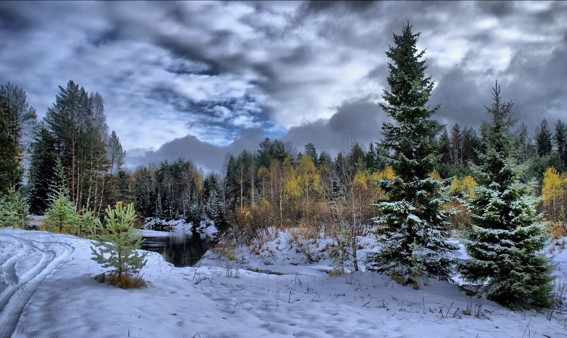 зима лес снег деревья река