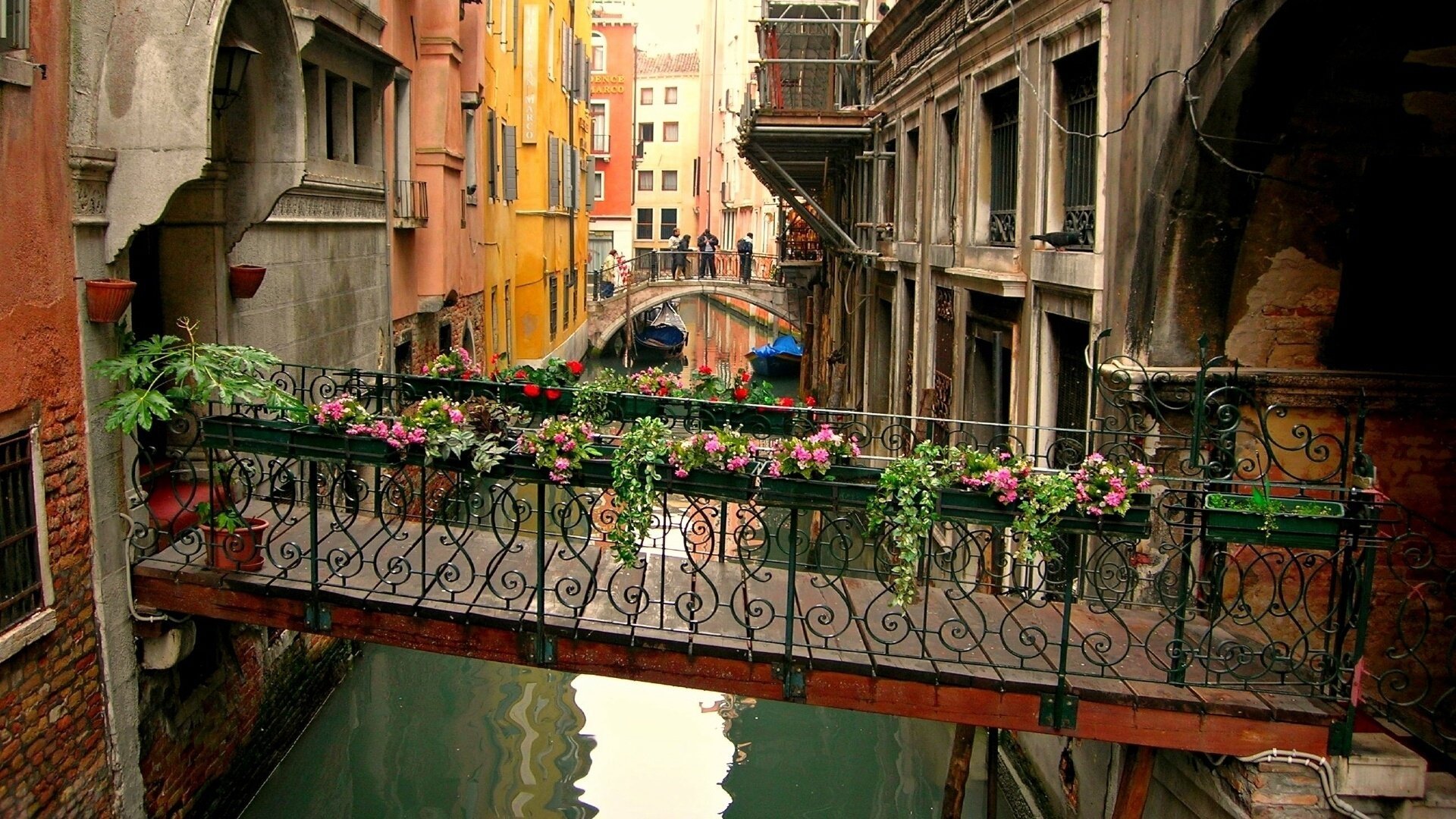 flowers venice channel the bridge the transition