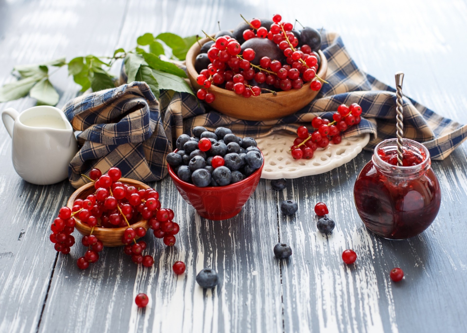 red currant currants bed berries jam blueberrie