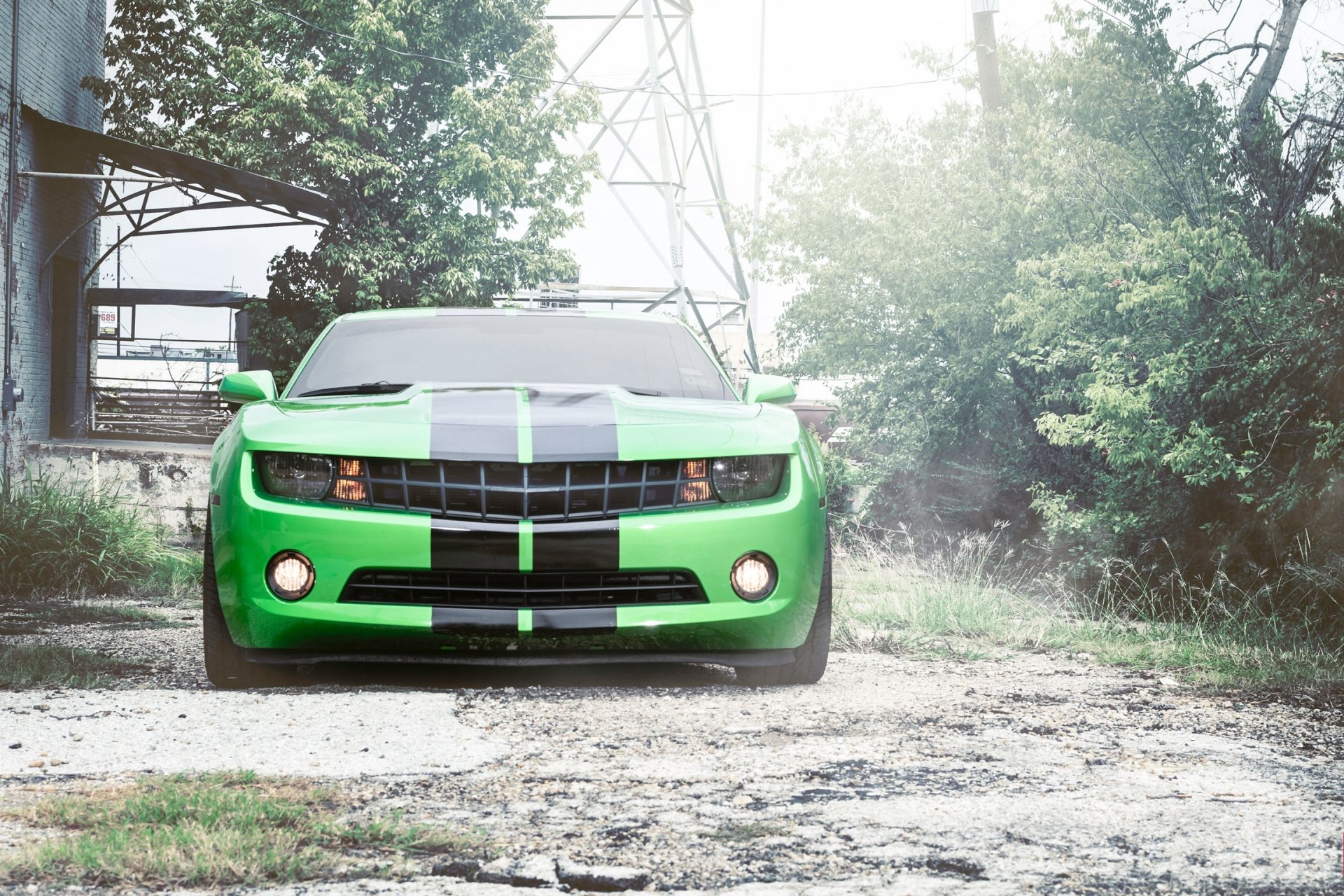 chevrolet camaro green chevrolet camaro front stripe