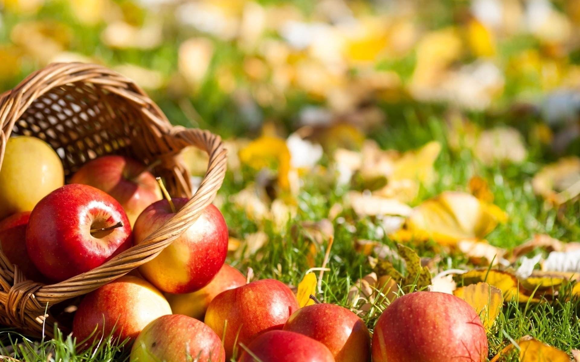 fruits feuille herbe shopping pommes