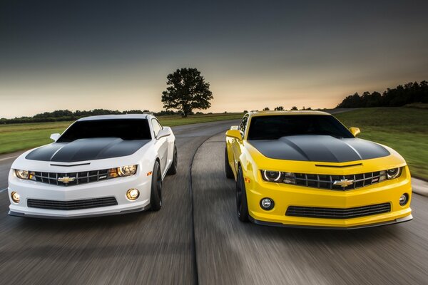 The white sports car lags behind the yellow sports car