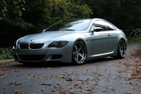 A gray car parked on a leafy road