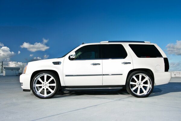 White Cadillac escalade on wide-profile discs against a blue sky background