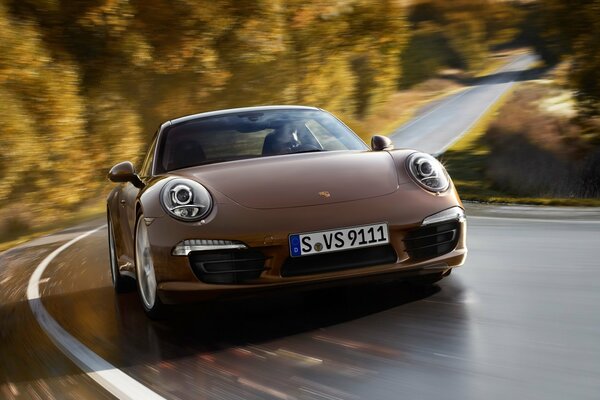 Awesome Porsche on the road against the background of trees