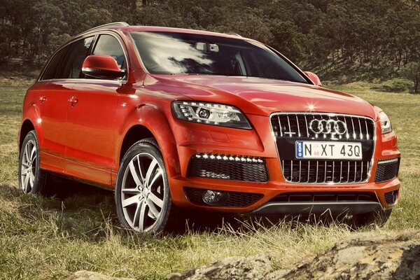 En nashk campo a través del bosque audi q7