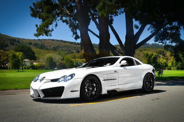 Mercedes Benz is white on the road, only the shadow of trees blocks it