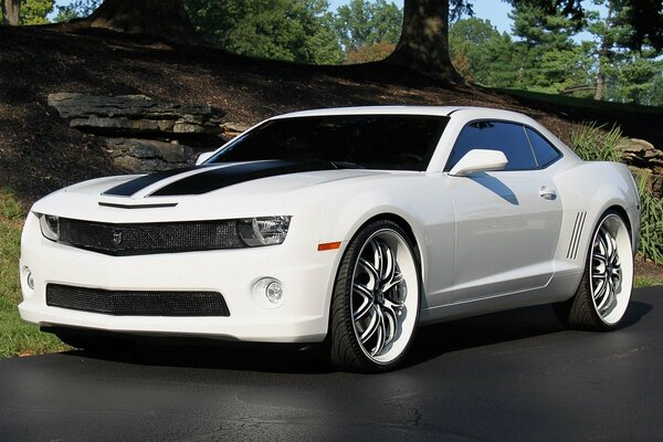 Chevrolet camaro blanco en Llantas frescas