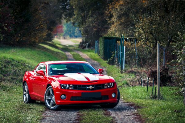 Chevrolet Camaro sur une route de campagne à la campagne