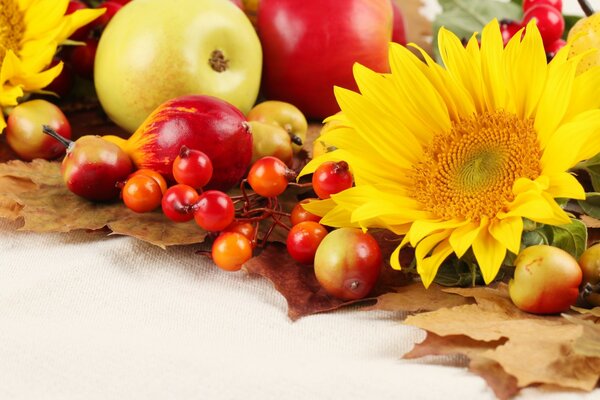 Autumn still life of flowers and berries