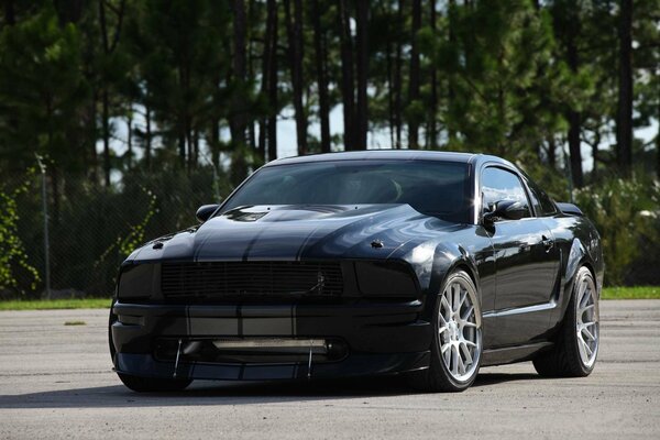 Black Ford Mustang on a background of trees