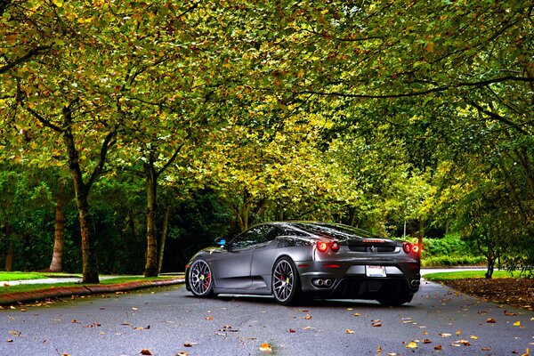 Ferrari d argento su Autumn roadblu