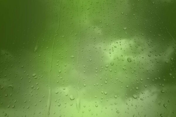 Fond vert flou avec des gouttes de pluie