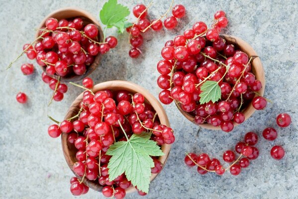 Bacche di ribes rosso in tazze