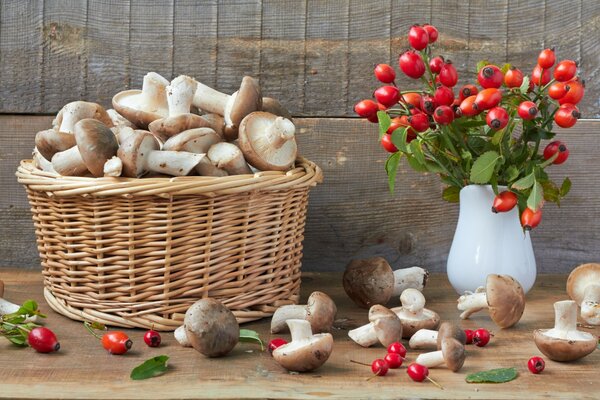 Still life with mushrooms and hawthorn