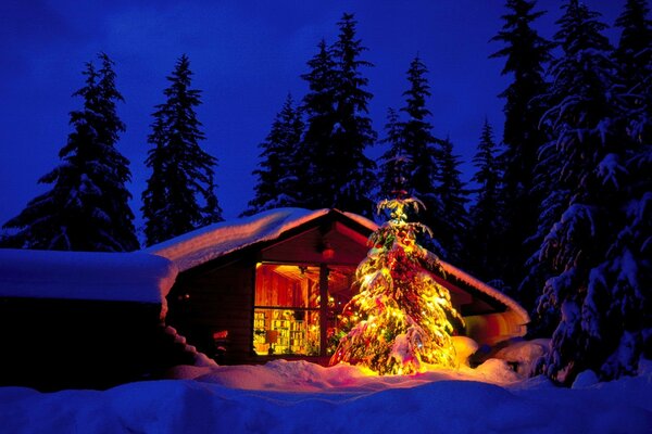 A house with a Christmas tree on the background of a forest landscape