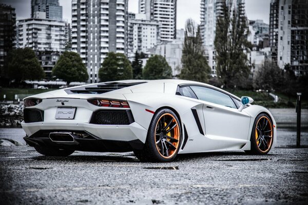 Sports car on the background of city skyscrapers