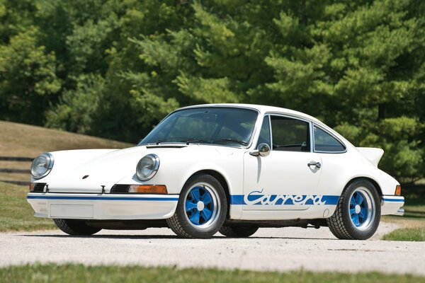 Superdeportivo blanco Porsche Carerra