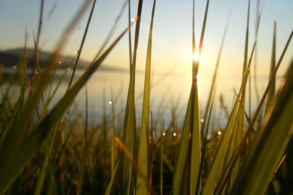 Amanecer en el Baikal en el sol!