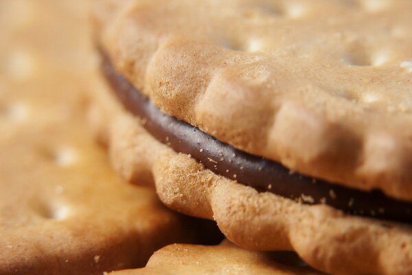 Chocolate sweet cream in cookies