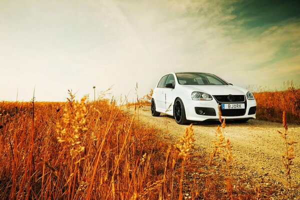 Voiture blanche dans la nature. Paysage orange