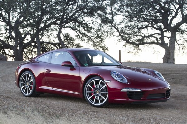 Porsche carrera Burdeos, vista frontal contra el fondo de los árboles