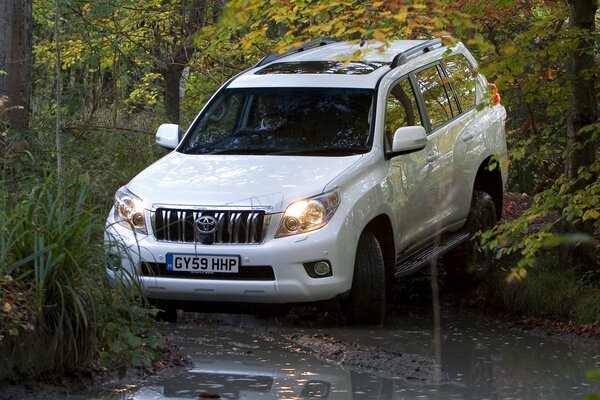 White tayota cabalga sobre el barro y el agua en el bosque