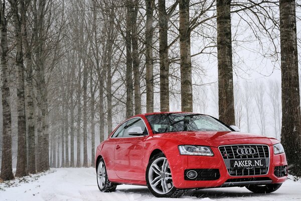 Красный Audi S5 зимой среди деревьев